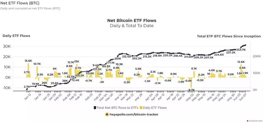 Bitcoin Analysis: Beyond the Block – June 2024