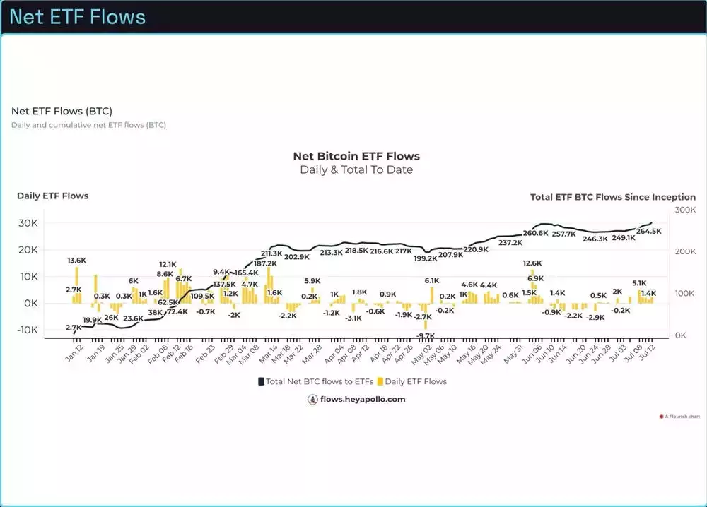 Bitcoin Analysis: Beyond the Block – July 2024 Bitcoin Analysis: Beyond the Block – July 2024