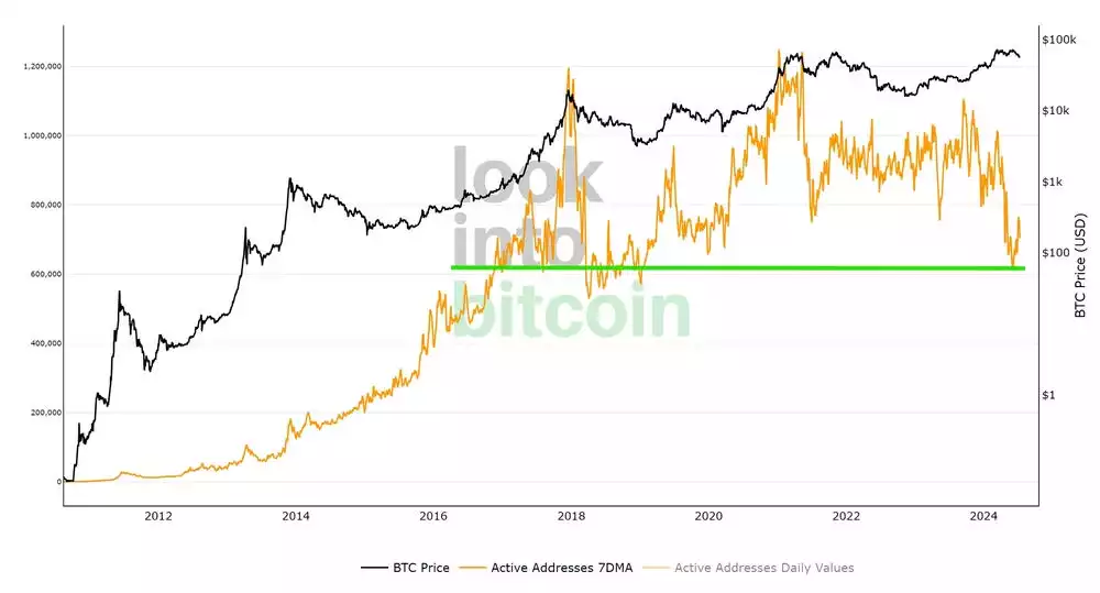 Bitcoin Report – July 2024