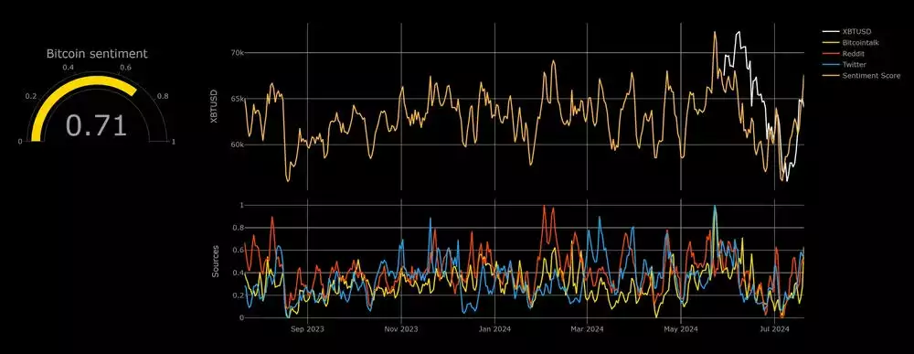 Bitcoin Report – July 2024