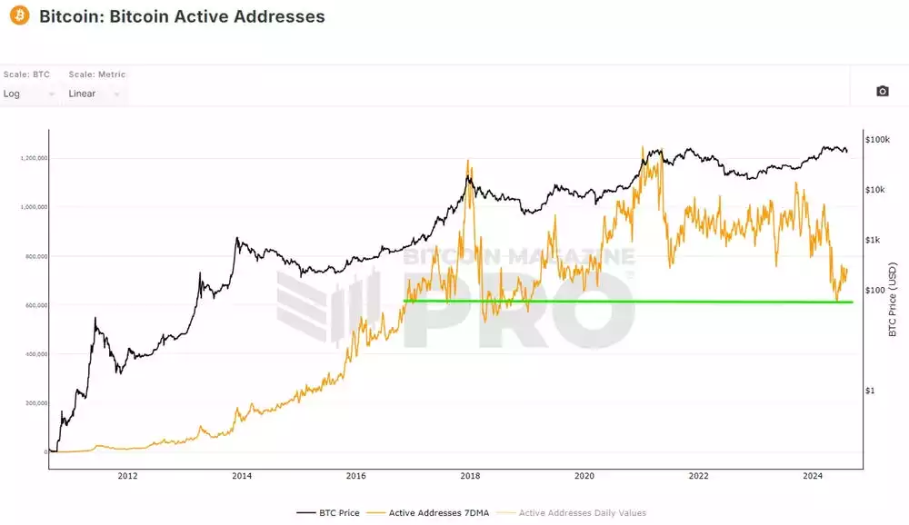 Bitcoin Analysis August 2024 Bitcoin Active Addresses