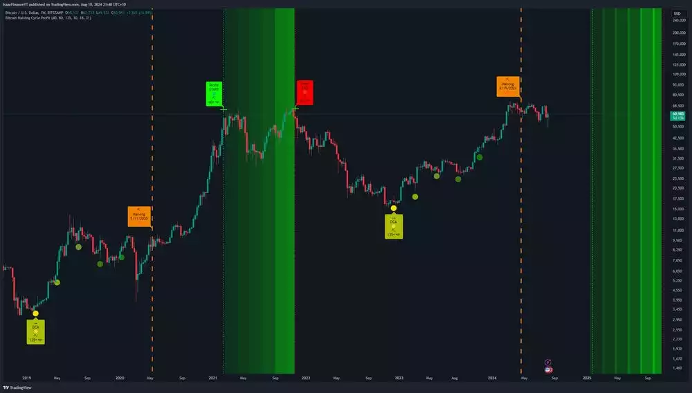 Bitcoin Analysis August 2024 Bitcoin Halving Price Cycle Profits