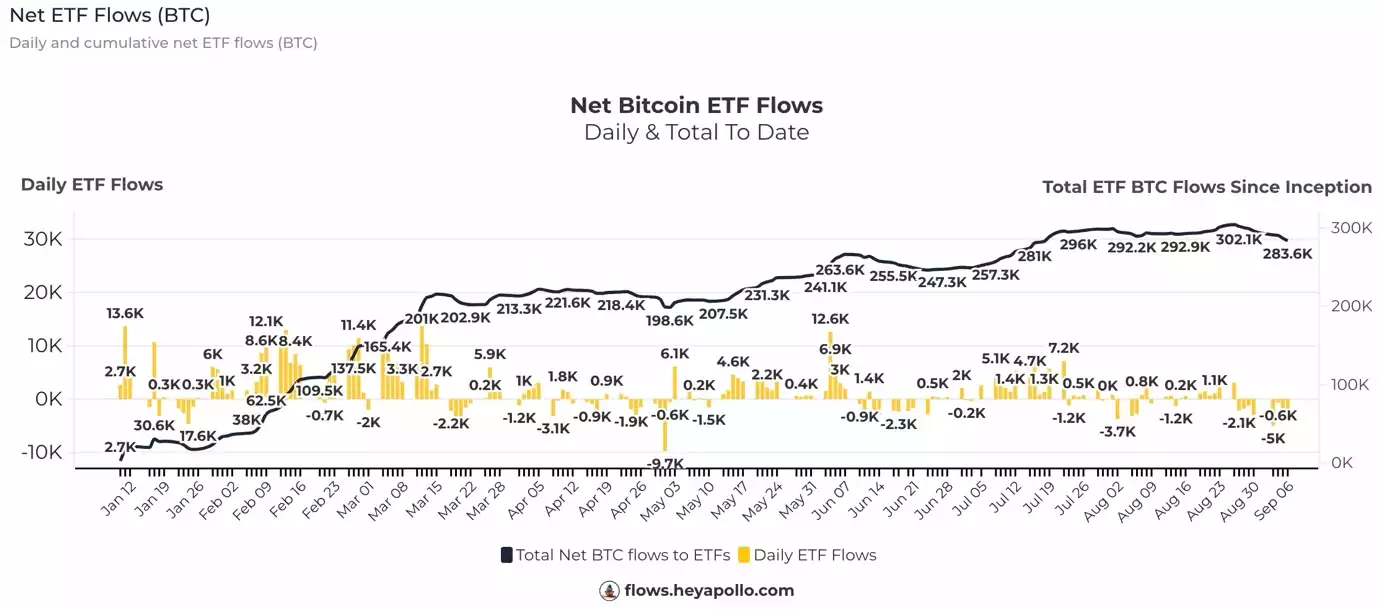 Bitcoin Analysis September 2024 Net ETF Flows Bitcoin