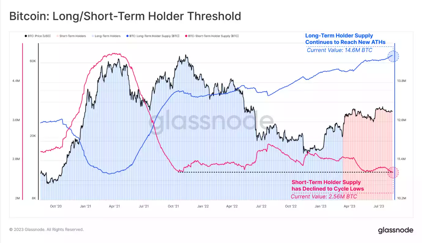Decoding Bitcoin’s Flat Pulse Decoding Bitcoin’s Flat Pulse