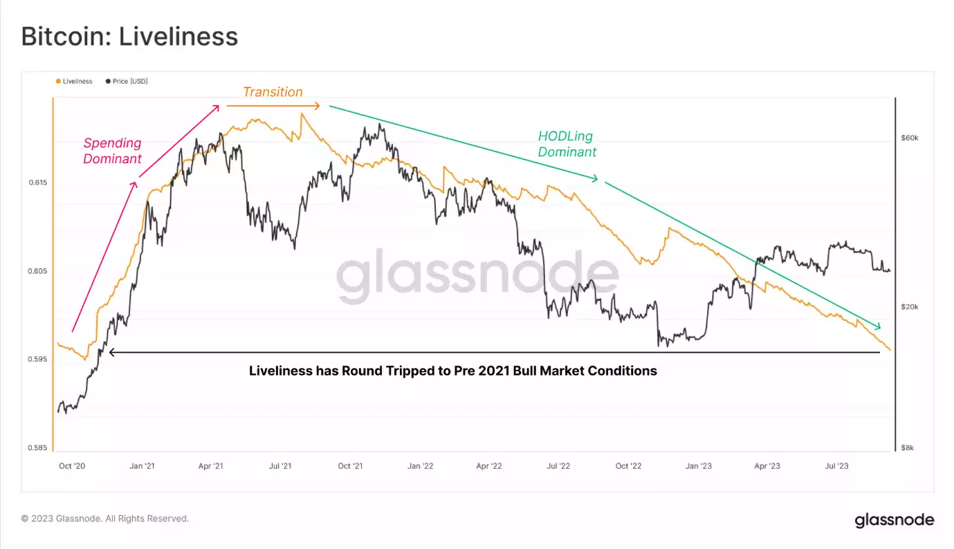 Looking Towards The Next Crypto Surge